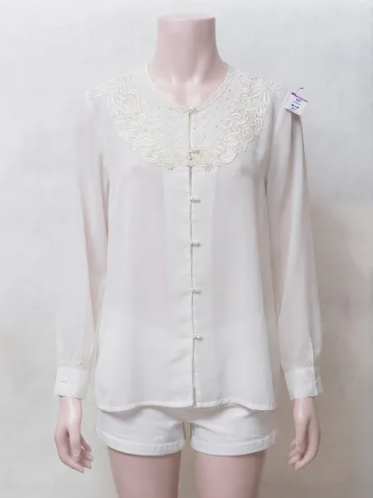 Elegant Embroidered Collar Silk Chiffon Button-Down Shirt